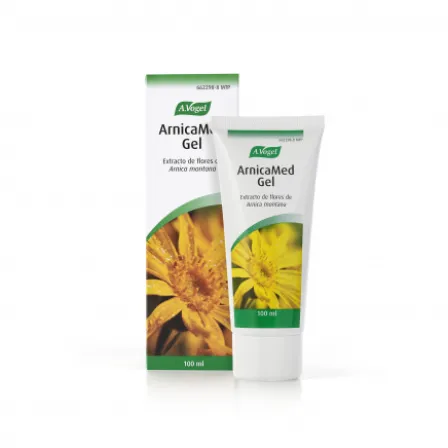 ARNICAMED 500 MG-G GEL TOPICO 100 ML