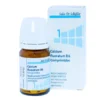 DHU CALCIUM FLUORATUM D6 SALES DE SCHUSSLER Nº1 80 COMP