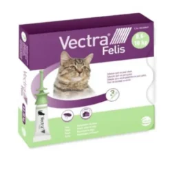 VECTRA FELIS 423/42,3 MG SOLUCION SPOT-ON PARA GATOS 3 PIPETAS 0,9 ML